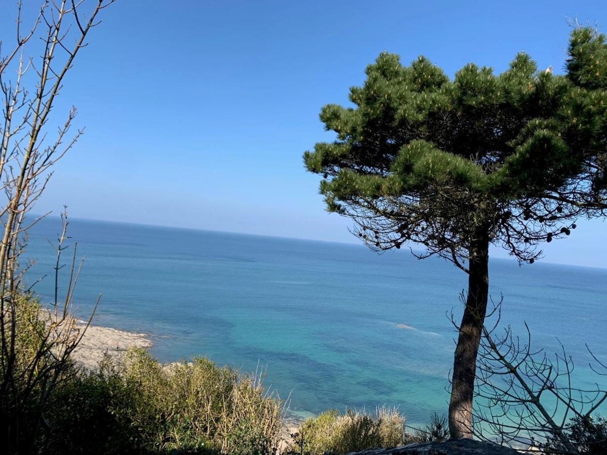 Appartement Villa Chausey, Vue Sur Le Port Granville Exteriér fotografie